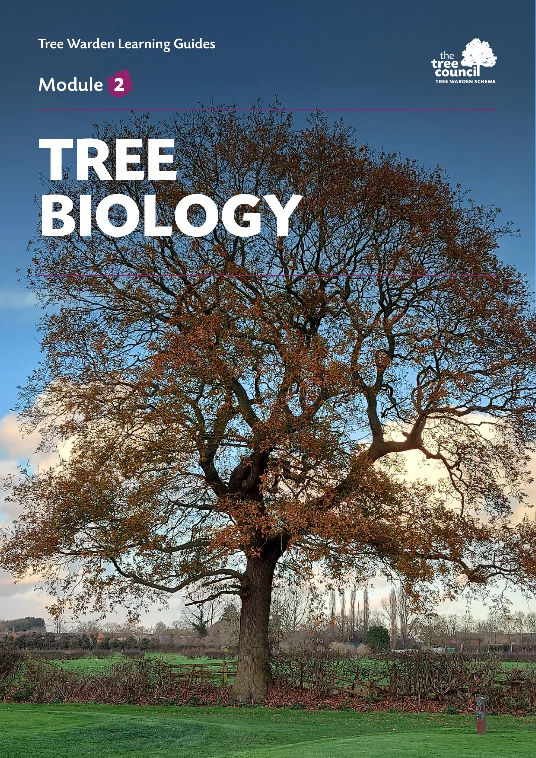 Cover image from the Tree Council Tree Biology learning guide