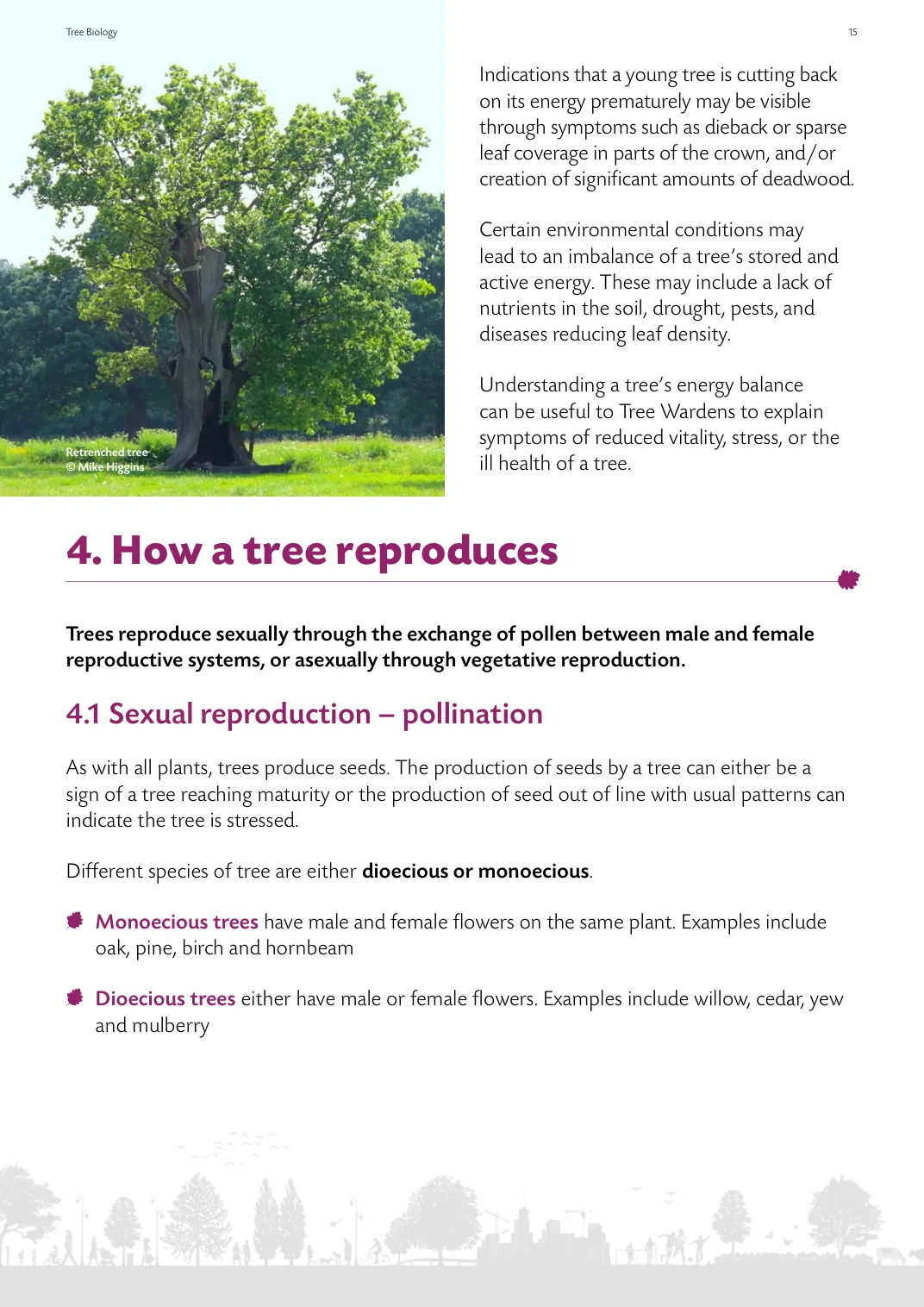 Page from the guide introducing tree reproduction
