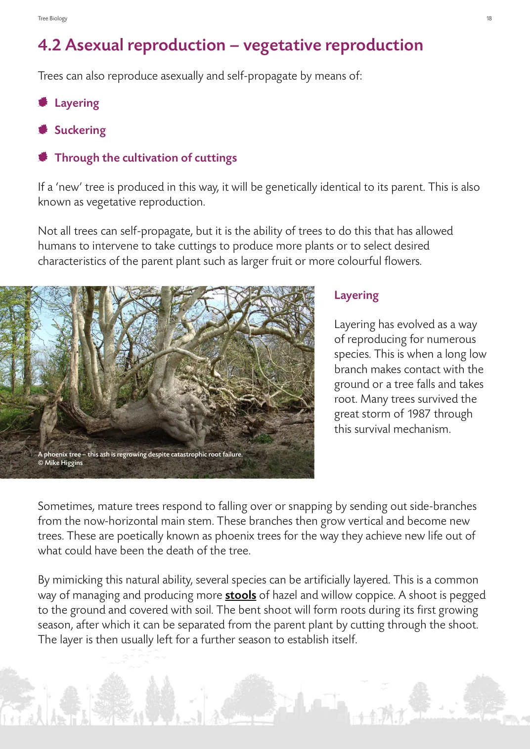 Page from the guide showing vegetative reproduction and layering